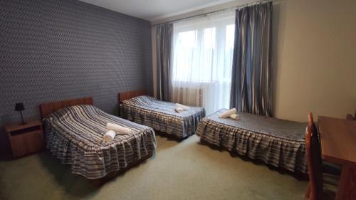 Легло или легла в стая в Gościnny Gaj