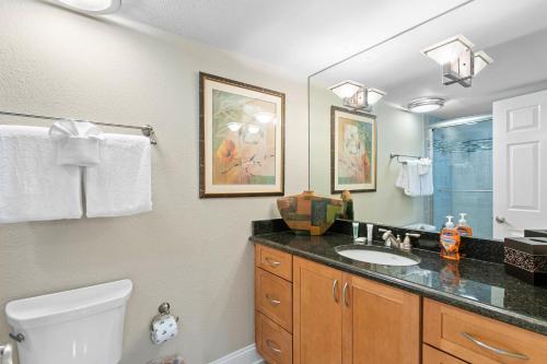 a bathroom with a sink and a toilet and a mirror at Tropical Paradise in Clearwater Beach