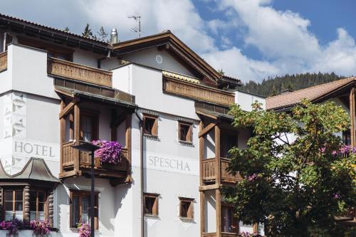 Hotel Spescha photo 3