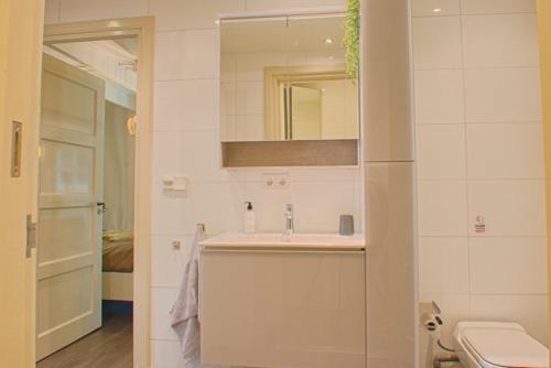 W łazience znajduje się umywalka, toaleta i lustro. w obiekcie Guesthouse Valkenswaard w mieście Valkenswaard