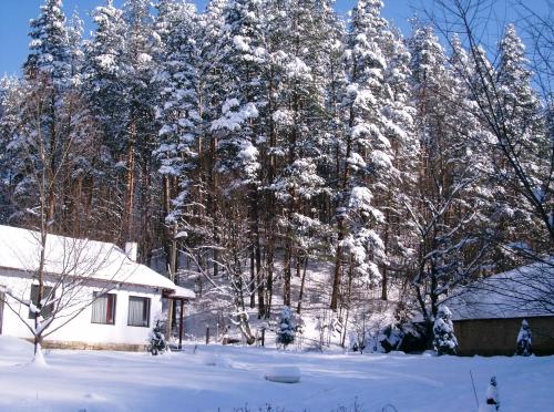 a house covered in snow next to a group of trees at Holiday Home Tanevi in Tryavna