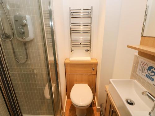 a small bathroom with a toilet and a shower at Rafters Cottage in Walton East