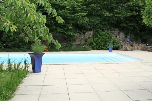 a blue swimming pool with a plant in a vase at Château du Bois de La Noe in Bouaye