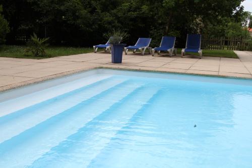 בריכת השחייה שנמצאת ב-Château du Bois de La Noe או באזור