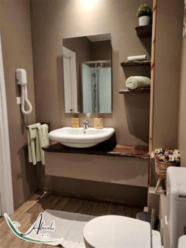a bathroom with a sink and a mirror and a toilet at B & B Almalù in Ripatransone