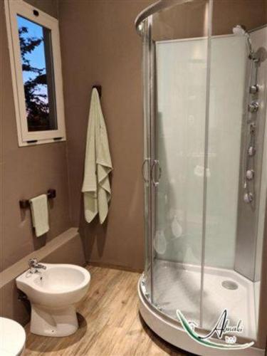 a bathroom with a shower and a toilet and a sink at B & B Almalù in Ripatransone