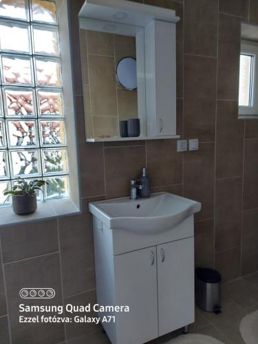 a bathroom with a white sink and a mirror at Scala Soba in Bačka Topola