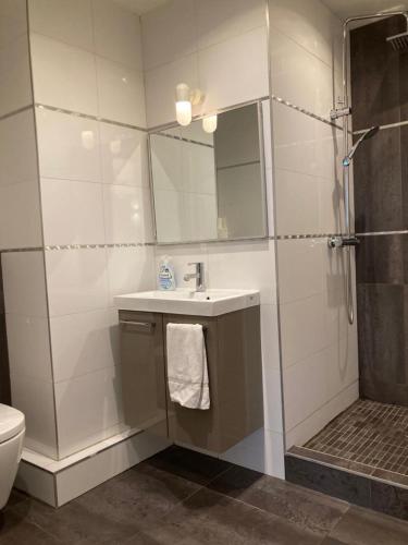 une salle de bain avec un lavabo, une douche et des toilettes dans l'établissement Appartement 2P Strasbourg centre - Homme de fer, à Strasbourg