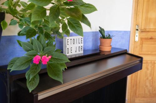Φωτογραφία από το άλμπουμ του Eco-Lodge Étoile de Jor σε Plazac