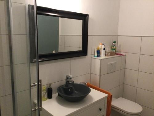 een badkamer met een wastafel, een spiegel en een toilet bij STEINERGUT Gartenwohnung 1 in Vorderstoder