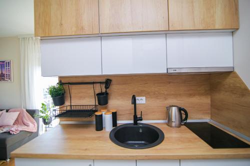 Кухня или мини-кухня в Narcis 17 - novonamesteni apartman sa prelepim pogledom na Tornik

