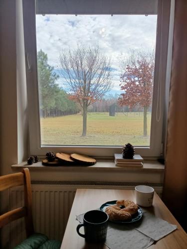 a table with a plate of pastries in front of a window at Tawerna-Stawiska in Garbatka-Letnisko