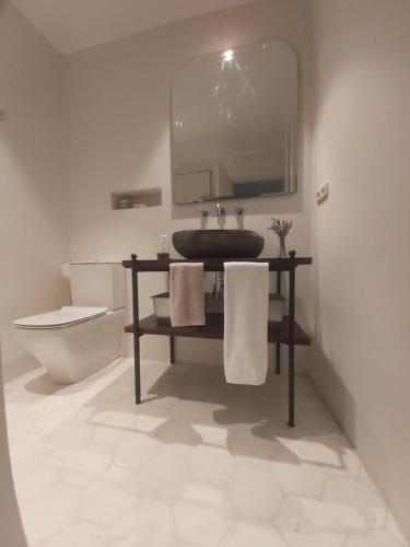 a bathroom with a sink and a toilet and a mirror at Biescas Apartamento Casa Josito La Cadiera in Biescas