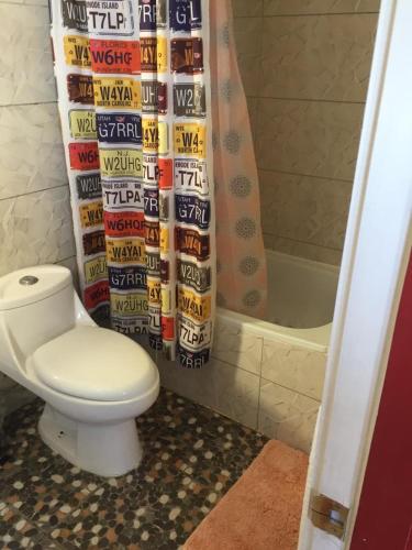 a bathroom with a toilet and a shower curtain at CASAS Y CABAÑAS CUMBRES DEL SOL in Castro