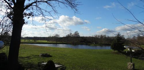 a park with a lake and a tree in the grass at Tawerna-Stawiska in Garbatka-Letnisko