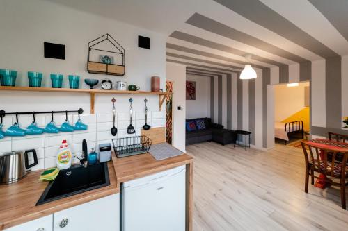 Kuchyň nebo kuchyňský kout v ubytování Art Apartament Ustrzyki Dolne