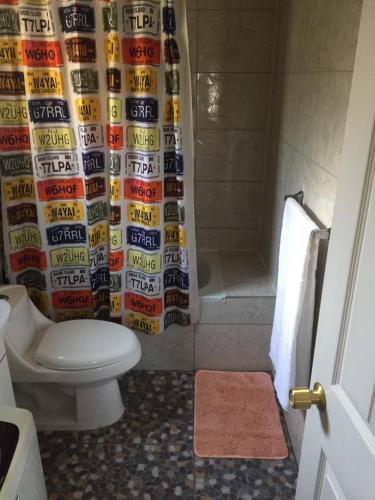 a bathroom with a toilet and a shower curtain at CASAS Y CABAÑAS CUMBRES DEL SOL in Castro