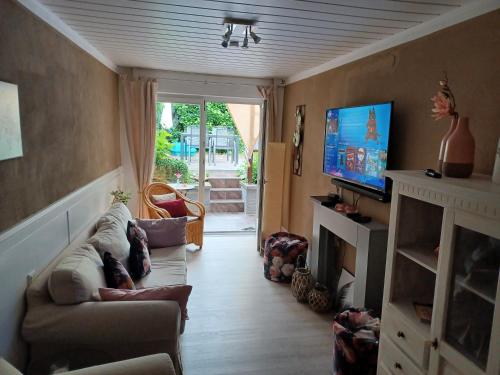 a living room with a couch and a tv at Ferienhaus Elisa in Trittenheim
