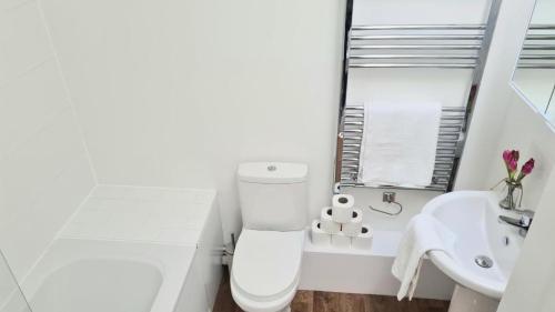 a white bathroom with a toilet and a sink at Highbridge Inn in Highbridge