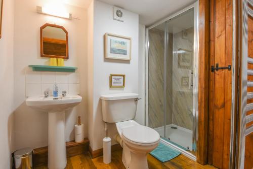 uma casa de banho com um WC, um lavatório e um chuveiro em Townend Barn em Lydford