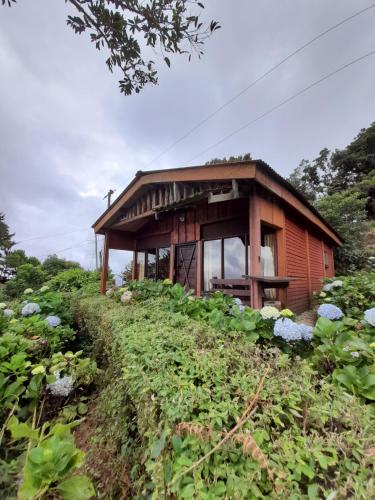 una pequeña casa sobre un campo de flores en Reserva Natural Cerro Alto, en Empalme