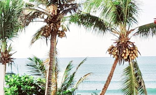The Ocean Villa – Photos 3