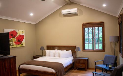 a bedroom with a bed and a tv and a window at Sunshine Valley Cottages in Woombye