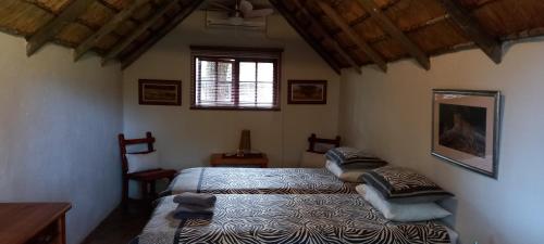 a bedroom with two beds and a window at Shumba Safari Bush Camp in Hoedspruit