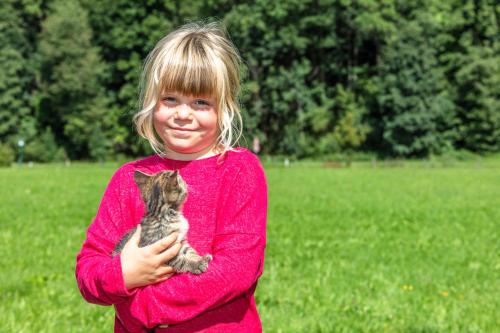 a young girl holding a kitten in a field at Biobauernhof Stegerbauer in Maria Alm am Steinernen Meer