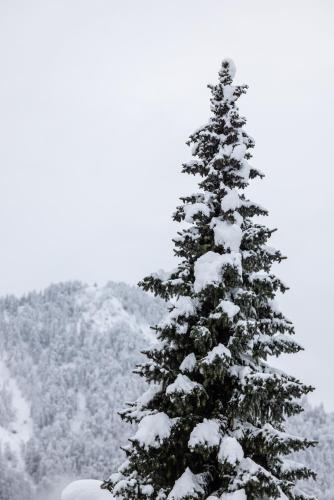 Το Boutique Skipass Superior Hotel τον χειμώνα