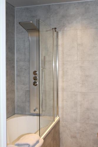 a shower with a glass door in a bathroom at Maison Drappier in Ghent