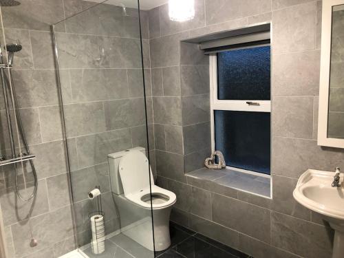 a bathroom with a toilet and a shower and a sink at Bracken Cottage in Ballymartin