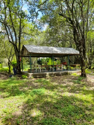 a picnic shelter in a park with trees at leruk Maasai safari camp in Sekenani