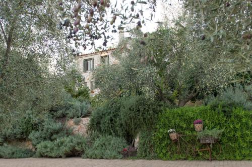 um jardim com plantas e um edifício ao fundo em Opora Country Living em Nafplio