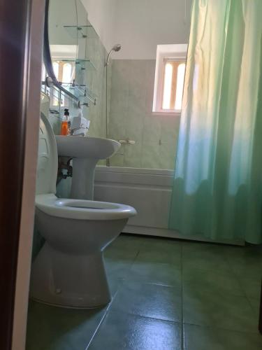 a bathroom with a toilet and a sink and a shower at Apartament Maria in Turda