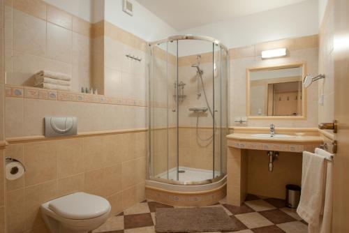 uma casa de banho com um chuveiro, um WC e um lavatório. em apartmány Marco Shipping em České Budějovice