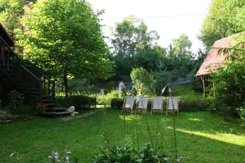 a yard with two chairs in the grass at Ropuszy Dwór in Żerdenka
