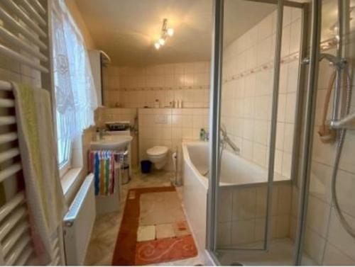 uma casa de banho com um chuveiro, uma banheira e um WC. em Stadthaus Laucha em Laucha