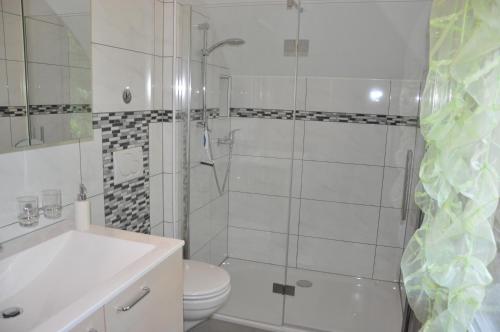 uma casa de banho com um chuveiro, um WC e um lavatório. em Hirschfarm, Goldau em Goldau