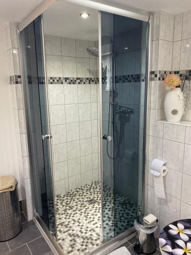 a shower with a glass door in a bathroom at Ferienwohnung Rosenweg in Schmalkalden