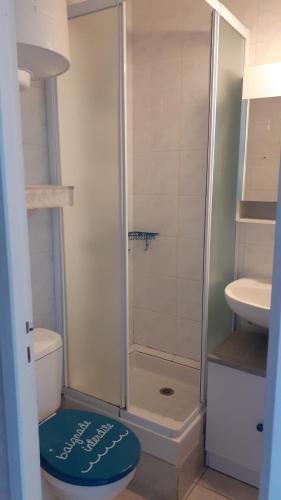 La salle de bains est pourvue d'une douche, de toilettes et d'un lavabo. dans l'établissement Studio - Marina 4 - 17 allée des Pinons - 3-2, à Saint-Jean-de-Monts