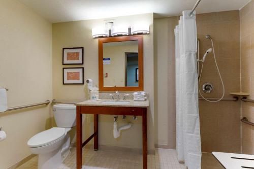 a bathroom with a toilet and a sink and a shower at Comfort Suites Fredericksburg South in Fredericksburg