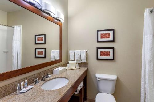 a bathroom with a sink and a toilet and a mirror at Comfort Inn Evansville-Casper in Evansville