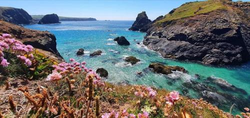 Gallery image of Cowshed Cottage located nr Kynance cove in Lizard