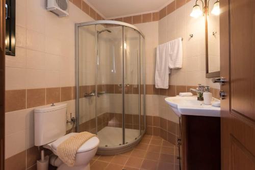 a bathroom with a shower and a toilet and a sink at Margarita's Villas in Chania Town