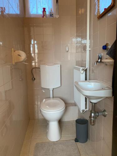 łazienka z toaletą i umywalką w obiekcie Apartman TinaSol w mieście Mosonmagyaróvár