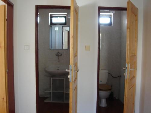 a bathroom with a sink and a toilet and a mirror at Dům V Podzámčí in Mělník