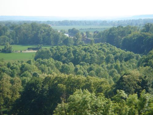 an aerial view of a forest of trees at Dům V Podzámčí in Mělník