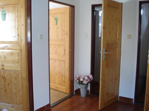 a hallway with two doors and a mirror at Dům V Podzámčí in Mělník