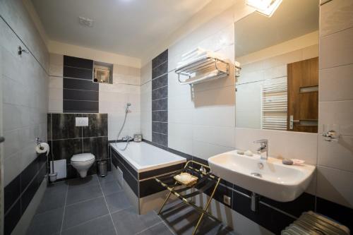a bathroom with a sink and a toilet at Apartmány Amethyst in Karlovy Vary